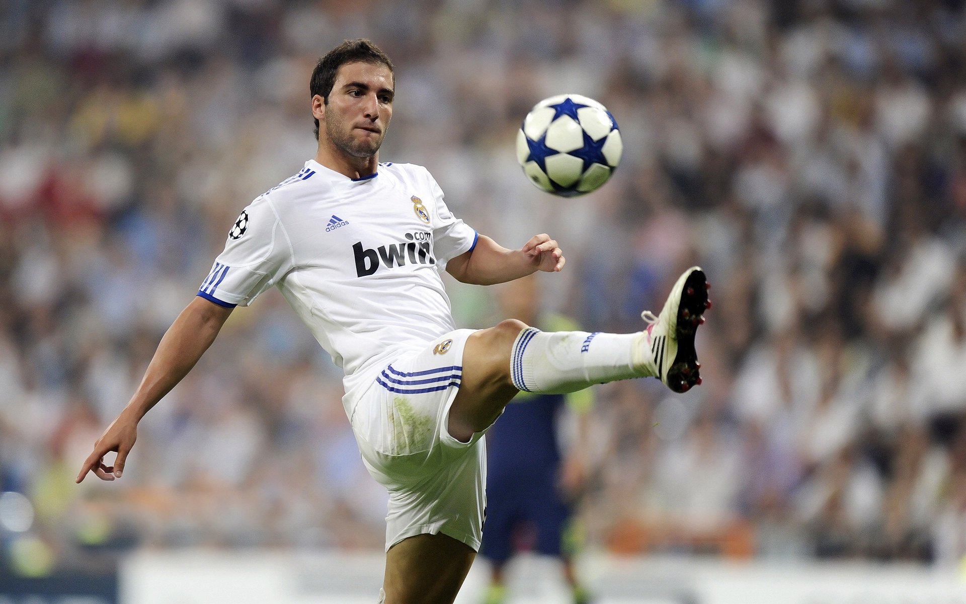 KY Sports-德甲争夺,球迷热烈讨论,德甲足球说